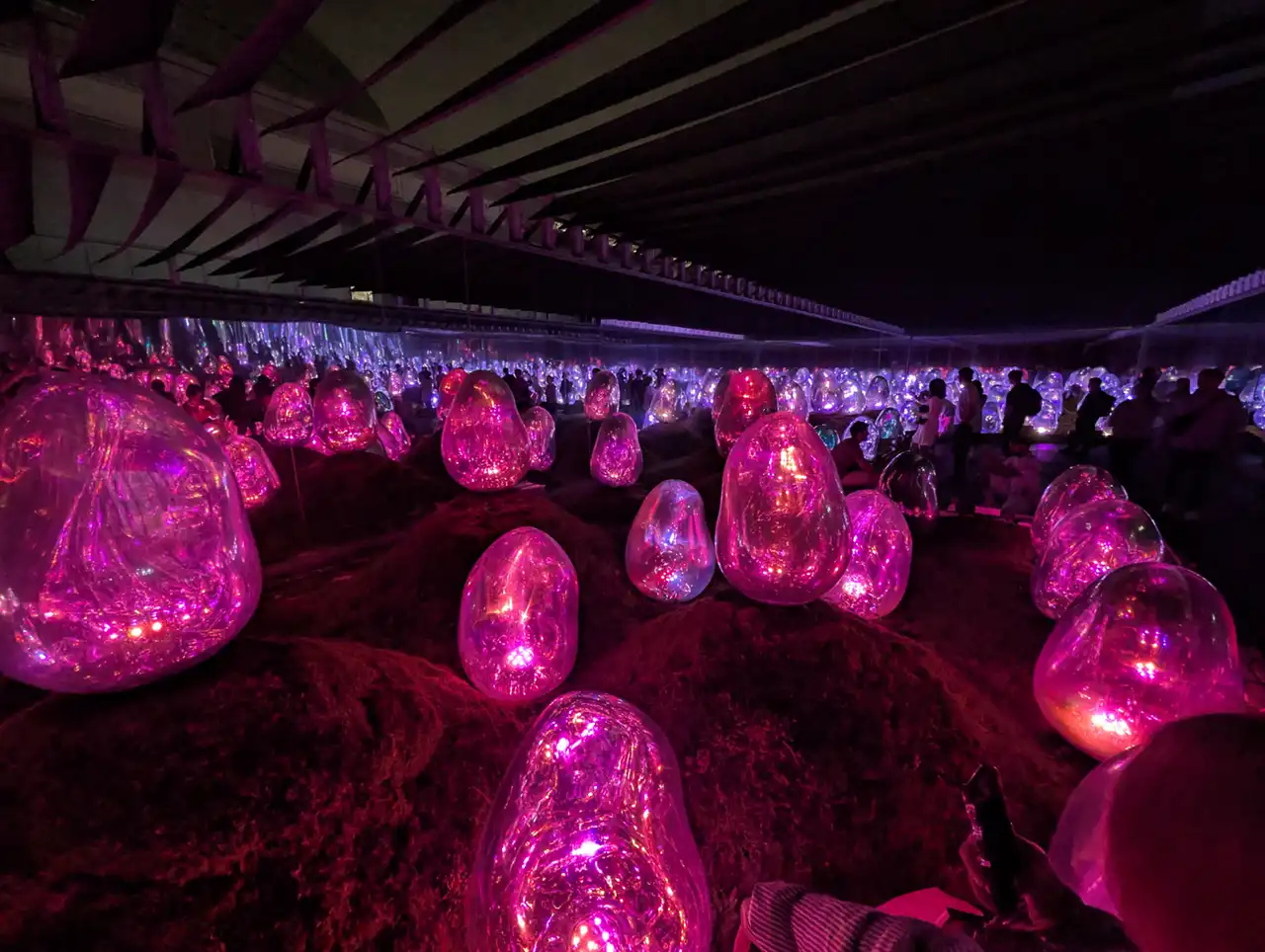 Andre Ebel. Webseiten, Webshops und durchdachte Brand Designs.