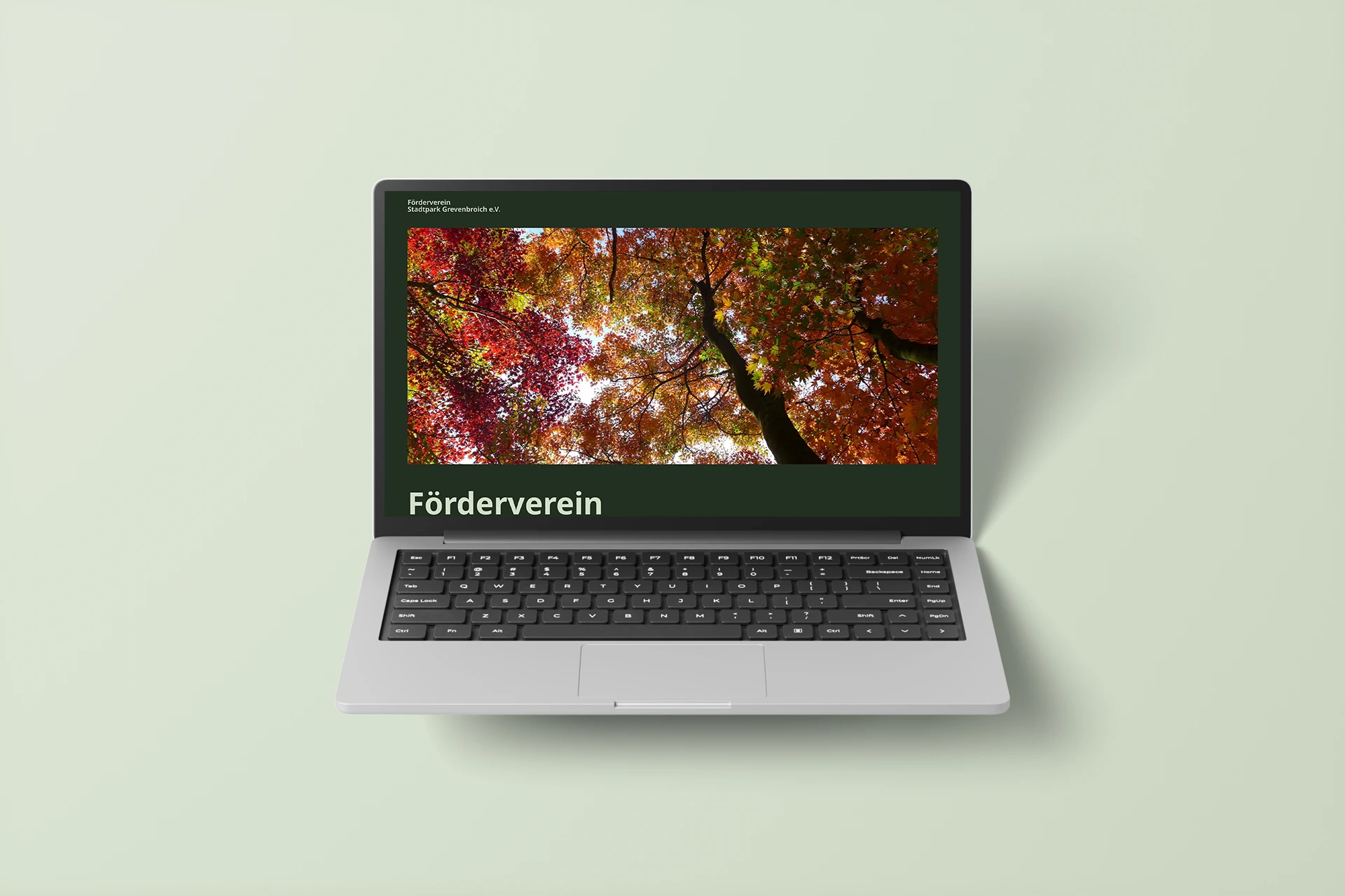 Andre Ebel. Webseiten, Webshops und durchdachte Brand Designs.